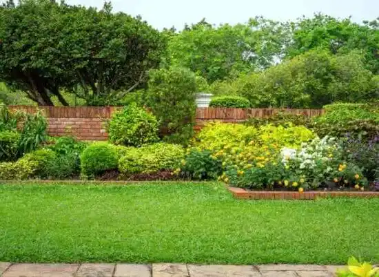 landscaping services Mingo Junction